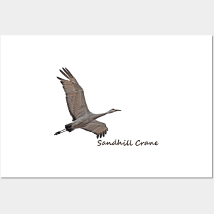 Sandhill Crane Posters and Art